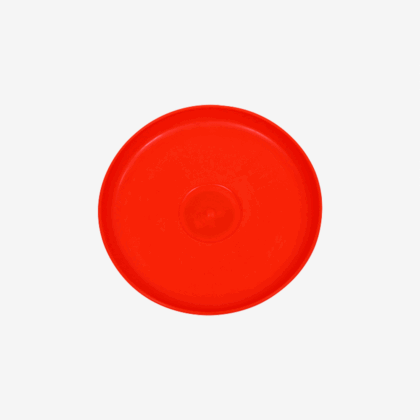 RDB NA Plastic Discus Throw Disc